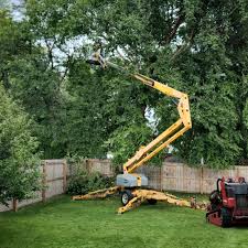 Best Tree Maintenance Programs  in Smithville, MO
